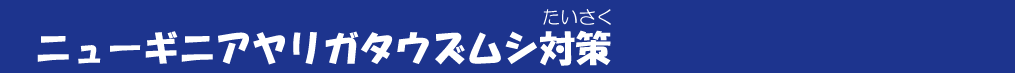 ニューギニアヤリガタウズムシ対策